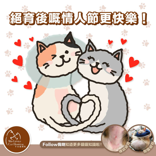 【Valentine's Day neutering promotion】