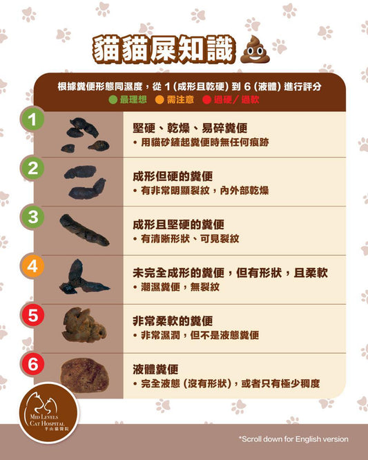【What does normal cat poop look like?】