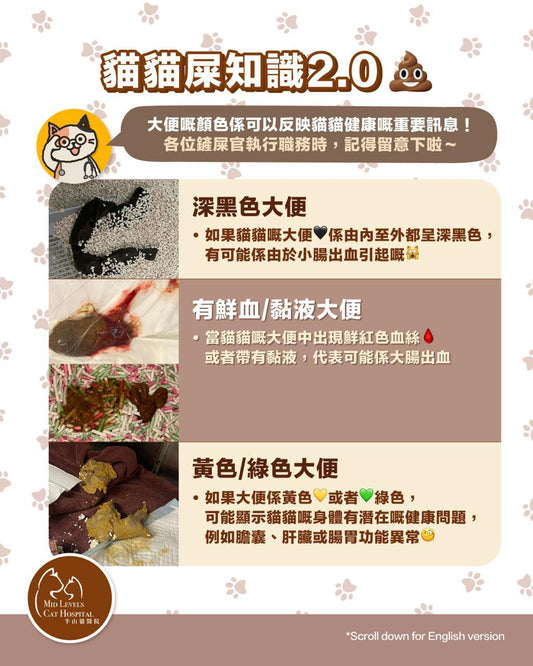 【Does the color of the poop matter?】